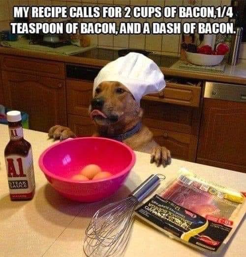 dog bacon chef mis hum.JPG